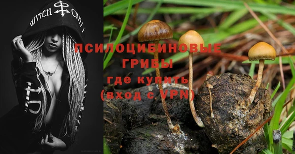стафф Абдулино