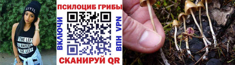 Псилоцибиновые грибы мухоморы  купить наркоту  Елизово 